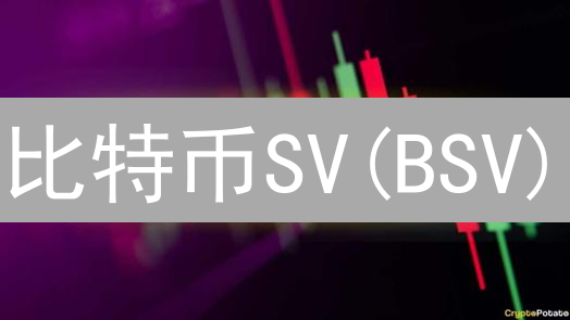 比特币SV(BSV)：起源、理念与技术特性深度解析