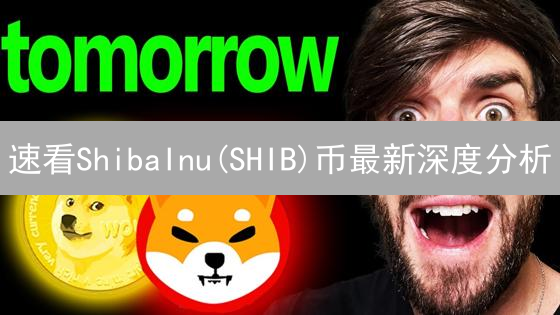 速看ShibaInu(SHIB)币最新深度分析：技术、经济模型全解析