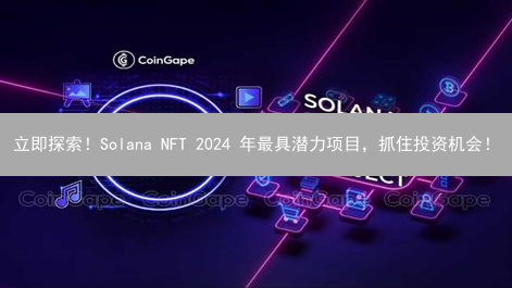 立即探索！Solana NFT 2024 年最具潜力项目，抓住投资机会！