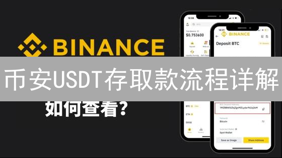 币安USDT存取款流程详解：新手入门指南与注意事项