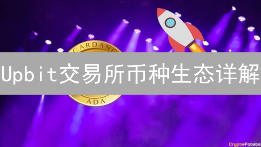 Upbit交易所币种生态详解：投资机会与趋势分析