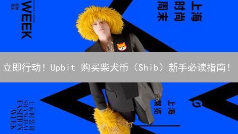 立即行动！Upbit 购买柴犬币（Shib）新手必读指南！