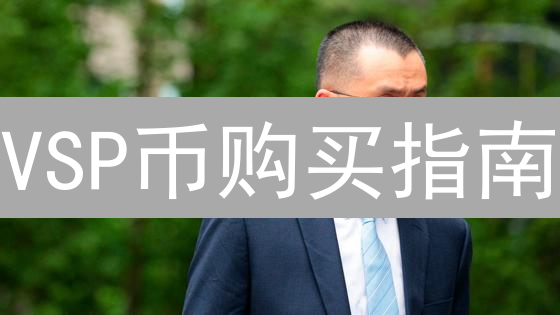 VSP币购买指南：中心化与去中心化交易所选择
