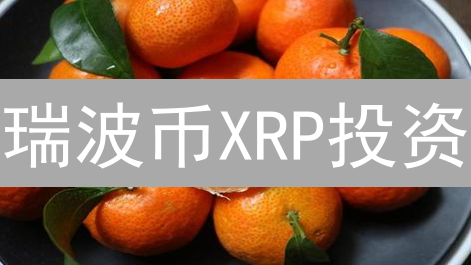 瑞波币XRP投资：从入门到精通的进阶指南