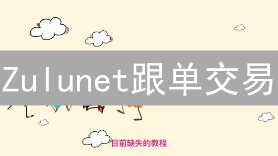 Zulunet跟单交易：新手也能轻松玩转加密货币？揭秘交易员选择策略！
